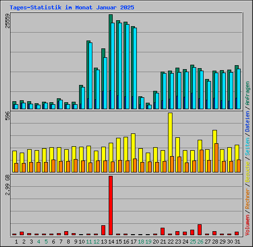 Tages-Statistik im Monat Januar 2025