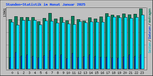 Stunden-Statistik im Monat Januar 2025