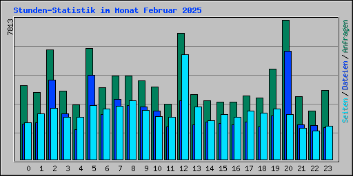 Stunden-Statistik im Monat Februar 2025