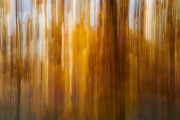 20191119_Semlin_0128_1200