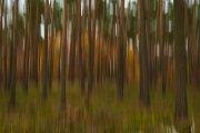 20191119_Semlin_0162_1200