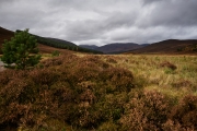 20171018_LinnOfDee_0281_1200