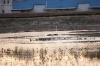 31122010_celeryfieldssarasota_105