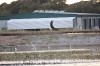 31122010_celeryfieldssarasota_119
