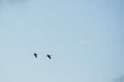 20180807_ChainOLakes_StatePark_0015