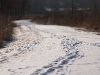 02152009_desplainesrivertrail_0034.jpg