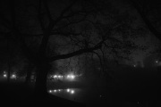20191125_Dresden_0355_1200