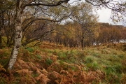 20171022_Scotland_0732_1200
