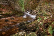 20171029_Scotland_1437_1200