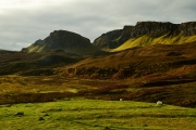 20171027_Scotland_1235_1200
