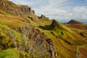 20171027_Scotland_1277_1200