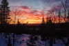 20250207_Yllasjarvi_0078