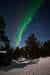 20250208_NorthernLights_Kaamanen_0220 20250208_NorthernLights_Kaamanen_0220