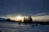 20250211_Pallas_Nationalpark_1289 20250211_Pallas_Nationalpark_1289