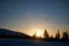 20250212_Pallas_Nationalpark_1314 20250212_Pallas_Nationalpark_1314