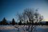 20250212_Pallas_Nationalpark_1316 20250212_Pallas_Nationalpark_1316