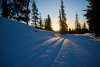 20250212_Pallas_Nationalpark_1320 20250212_Pallas_Nationalpark_1320