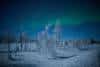 20240119_Yllasjarvi_0219