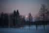 20240120_Yllasjarvi_0255