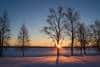 20240120_Yllasjarvi_0261