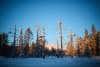 20240120_Yllasjarvi_0271