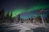 20240120_Yllasjarvi_0427