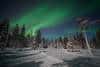 20240120_Yllasjarvi_0439