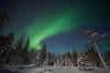 20240120_Yllasjarvi_0453
