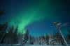 20240120_Yllasjarvi_0461