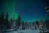 20240120_Yllasjarvi_0469
