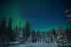 20240120_Yllasjarvi_0476