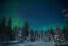 20240120_Yllasjarvi_0481