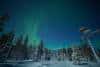 20240120_Yllasjarvi_0482
