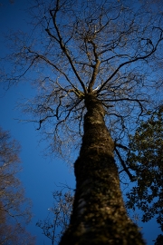 20171102_Scotland_1755_600