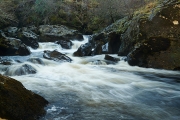 20171102_Scotland_1789_600