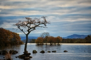 20171102_Scotland_1804_600