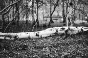 20200827_Peenemunde_0106