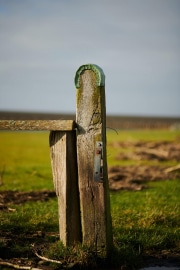 20230126_NorthernGermany_0056