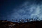 20180125_Norway_0108_portfolio