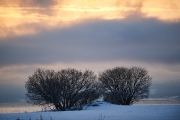 20180126_Norway_0139_portfolio