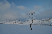 20180126_Norway_0201_portfolio