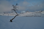 20180126_Norway_0202_portfolio