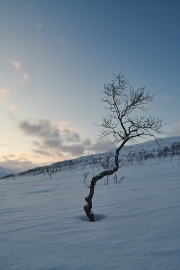 20180126_Norway_0203_portfolio