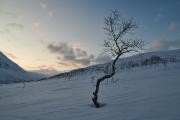 20180126_Norway_0204_portfolio