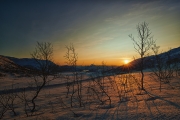 20180128_Norway_1021_portfolio