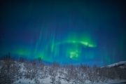 20180128_Norway_1612_portfolio
