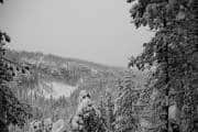 20240116_KorouomaCanyon-_0034