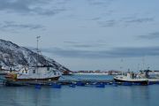 20200130_Tromso_0396