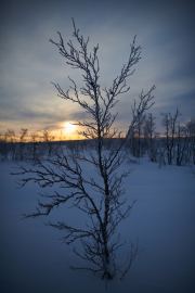 20200204_Finland_0833