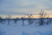 20200204_Finland_0841